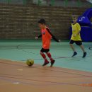 turmikol 29